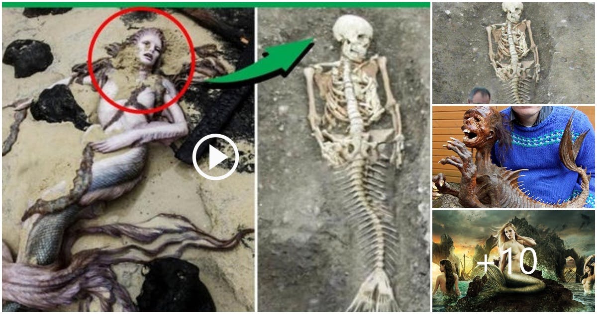 Cover Image for Archaeologists unearth mermaid bones in Iceland, finally solving centuries-old mystery